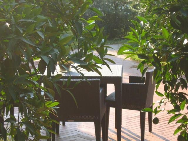 Al Melograno - Room & Breakfast 볼로냐 외부 사진